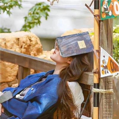 征服